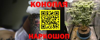 мдма Кингисепп