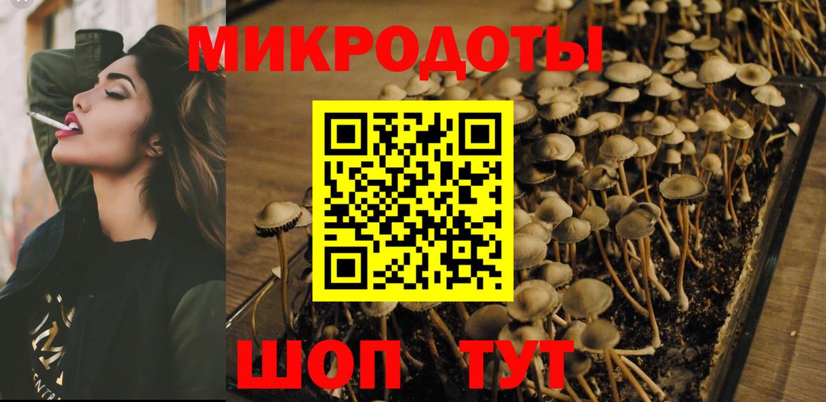 Псилоцибиновые грибы ЛСД Зерноград